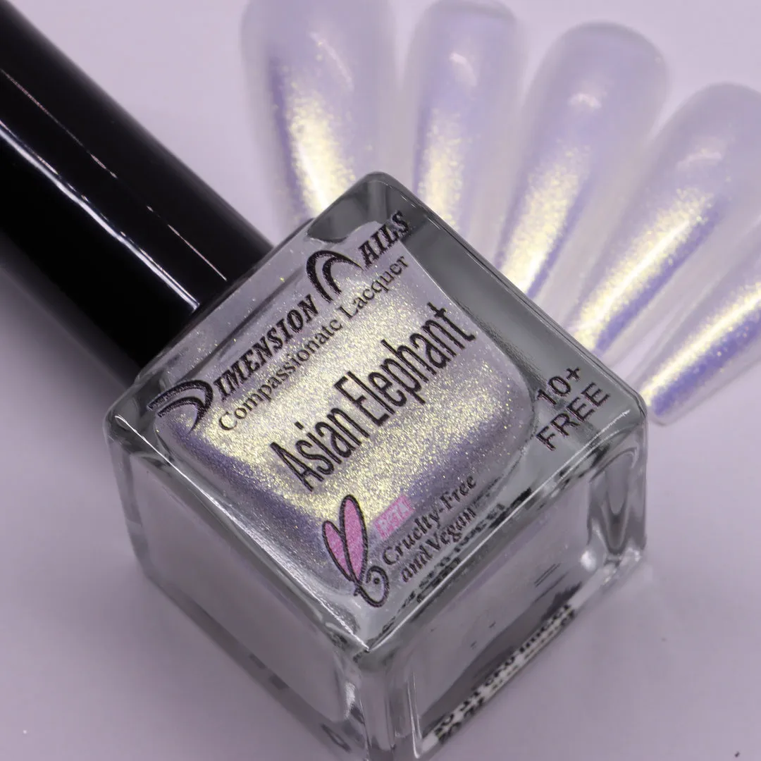 Dimension Nails - Terai-Duar Savanna - Asian Elephant