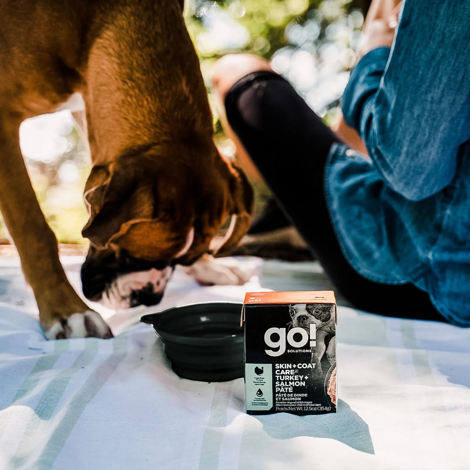 GO Carnivore Grain-Free Chicken, Turkey   Duck Stew 354g Canned Dog Food