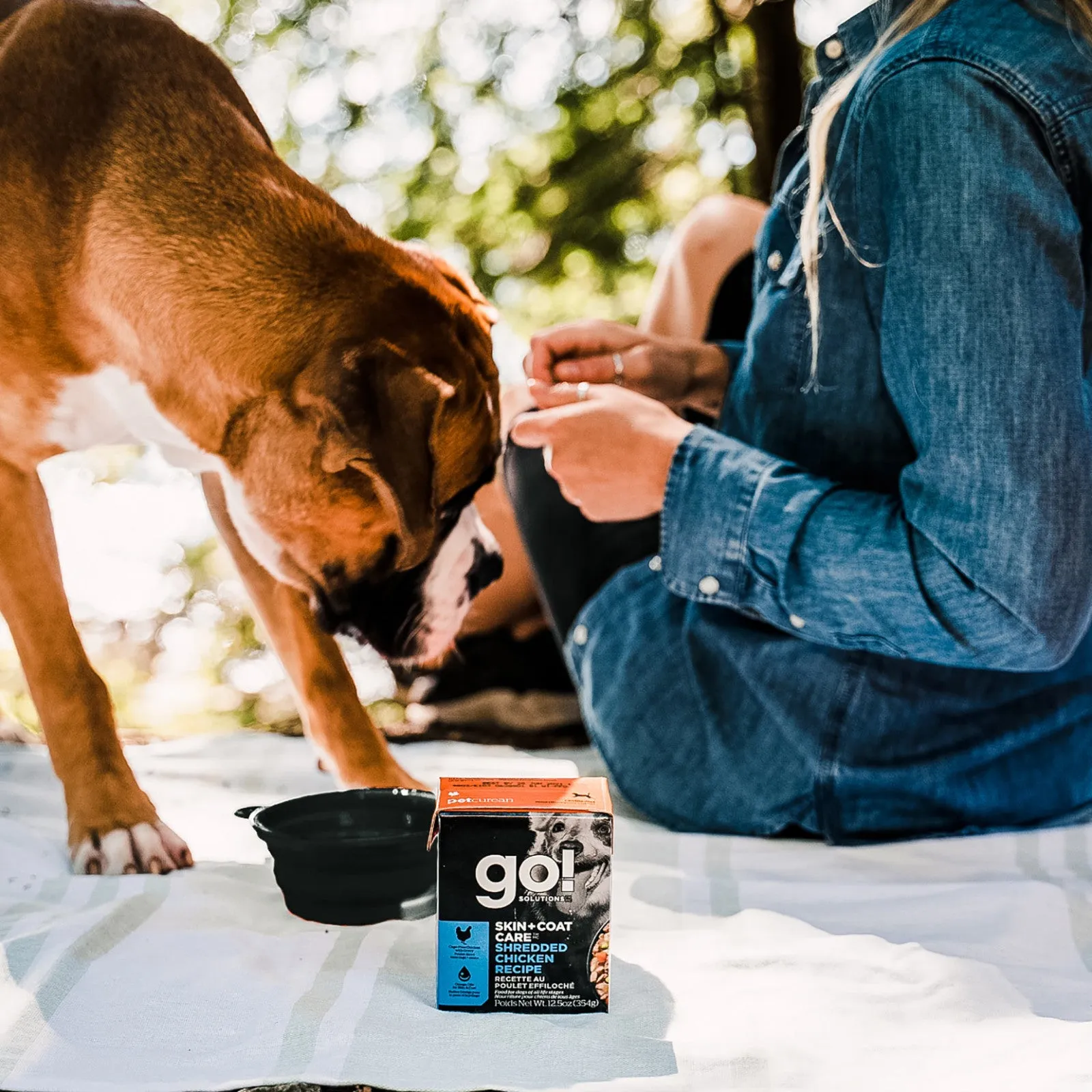 GO Skin   Coat Care Shredded Chicken 354g Canned Dog Food