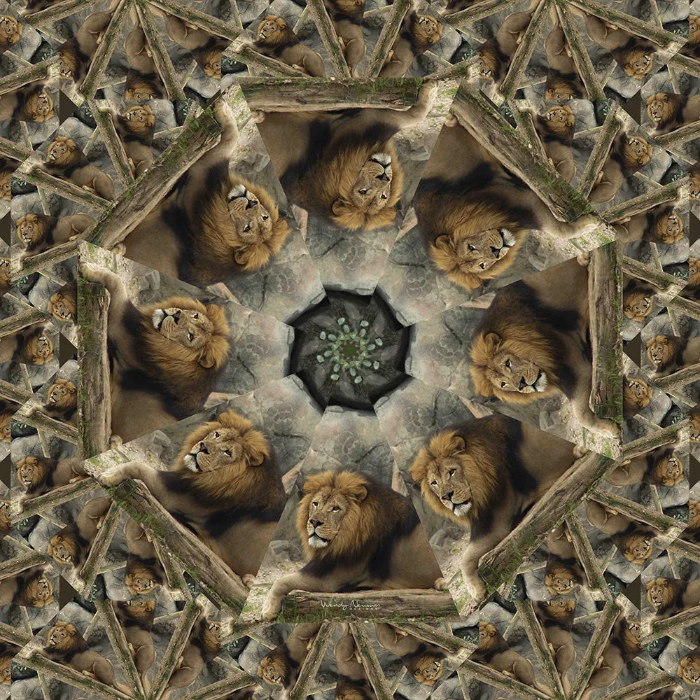 King - Zoo Scarf