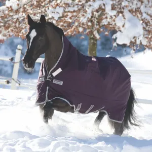 Rambo Wug Heavy Turnout Blanket (400g)