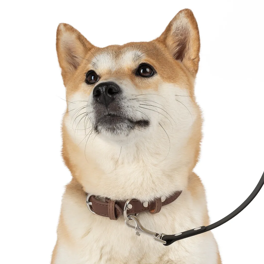 Snow Leopard Serape Dog Leash