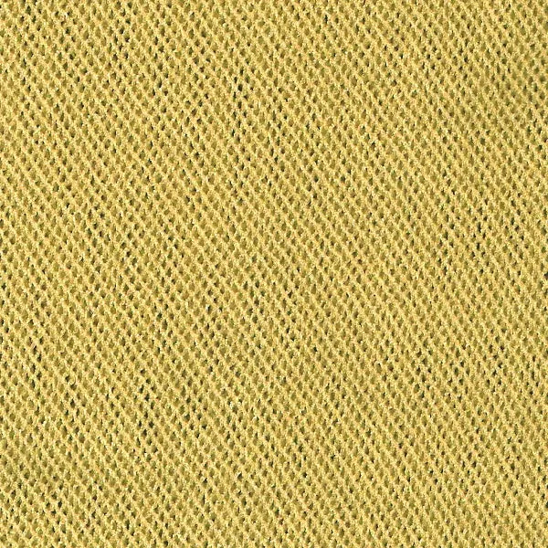 Swing Turtle Neck